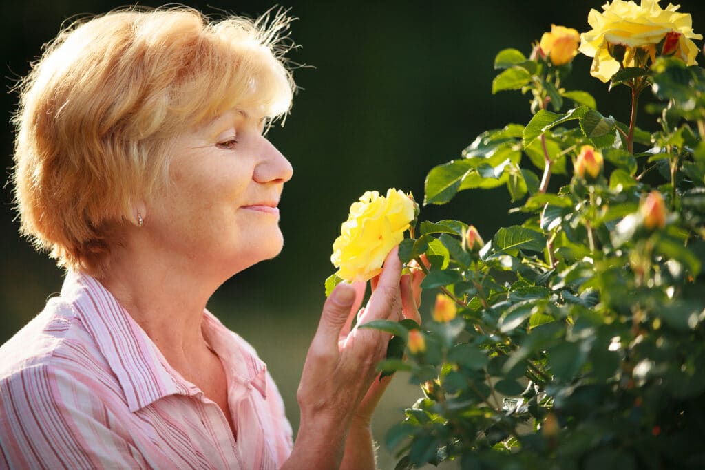 Elder Care in Memorial TX: How to Plant a Butterfly Garden with Mom