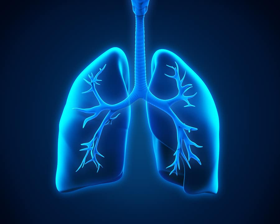 Homecare in Spring Branch TX: What Respiratory Diseases are Common Among the Elderly?