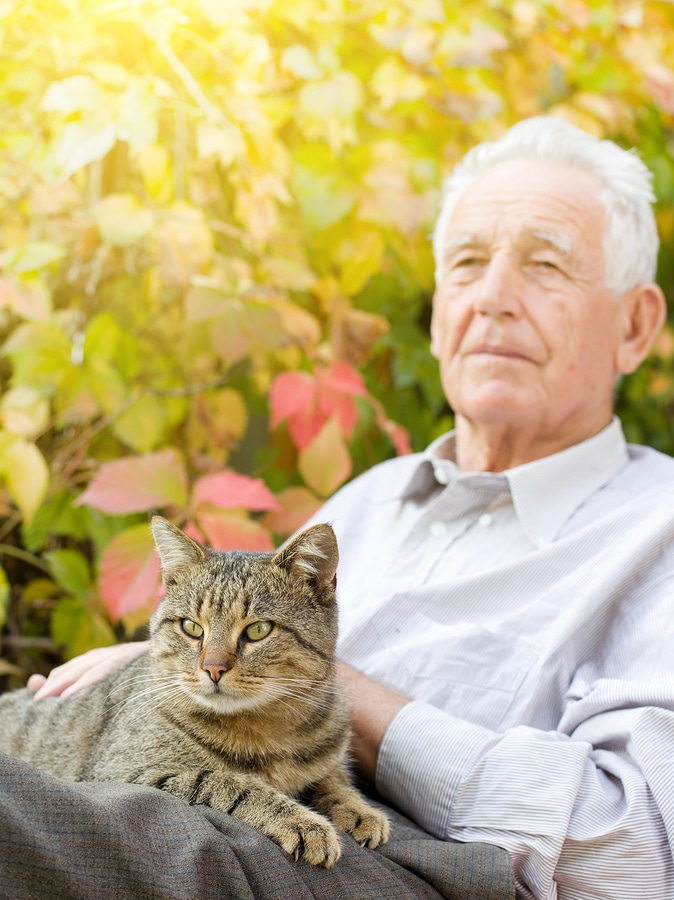 Elderly Care in Katy TX: Is a Pet the Best Way to Make Sure Your Mom Has a Companion?