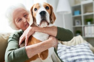 Companion Care in Katy TX